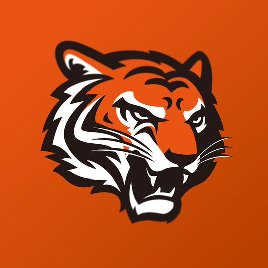 NFL Cincinnati Bengals