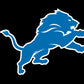 NFL Detroit Lions