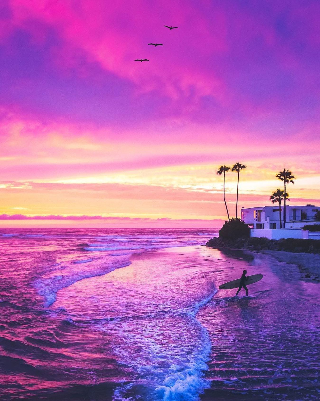 Pink & Purple Sky in San Diego, CA