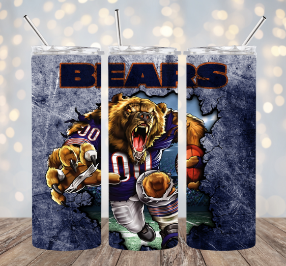 NFL Chicago Bears