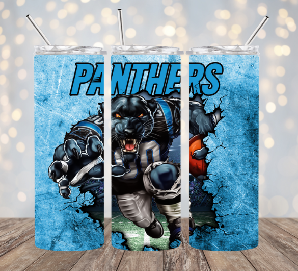 NFL Carolina Panthers