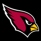 NFL Arizona Cardinals